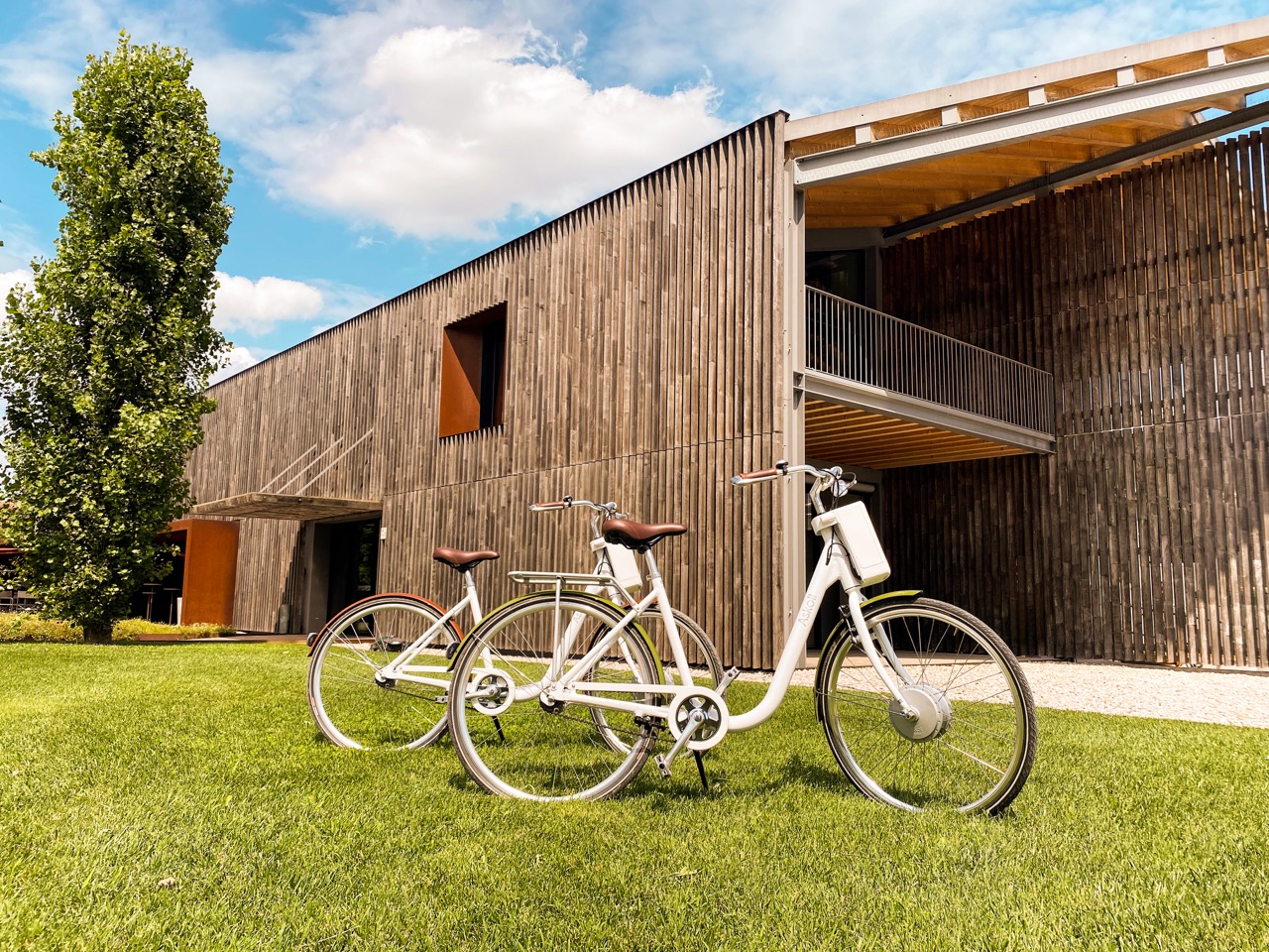 BIO BIKE TOUR (5) - dimensioni grandi