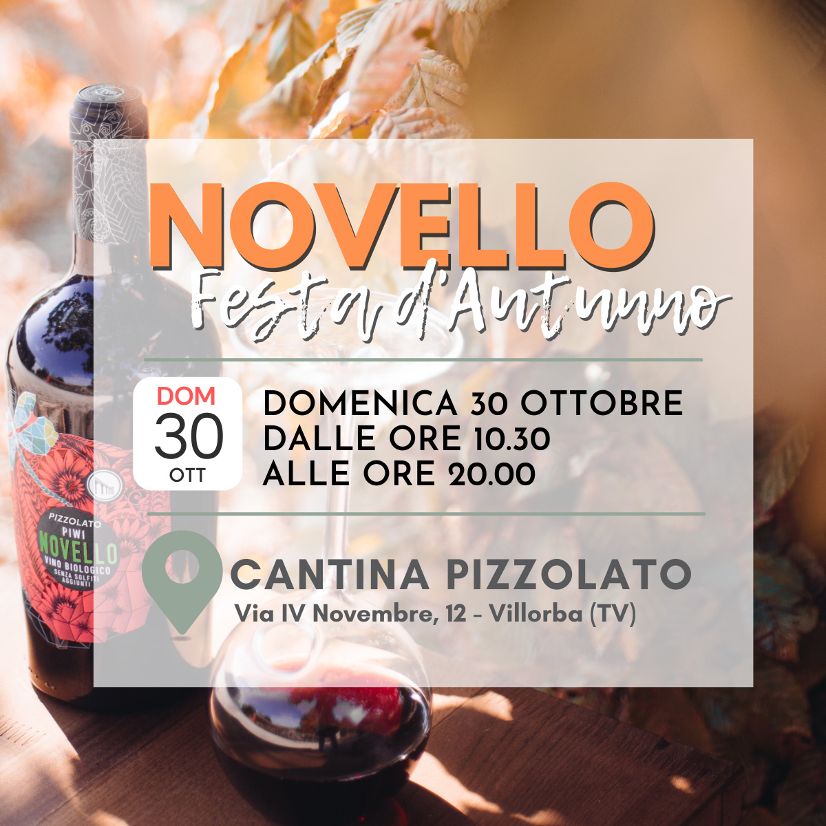 FESTA DEL NOVELLO IN CANTINA PIZZOLATO2