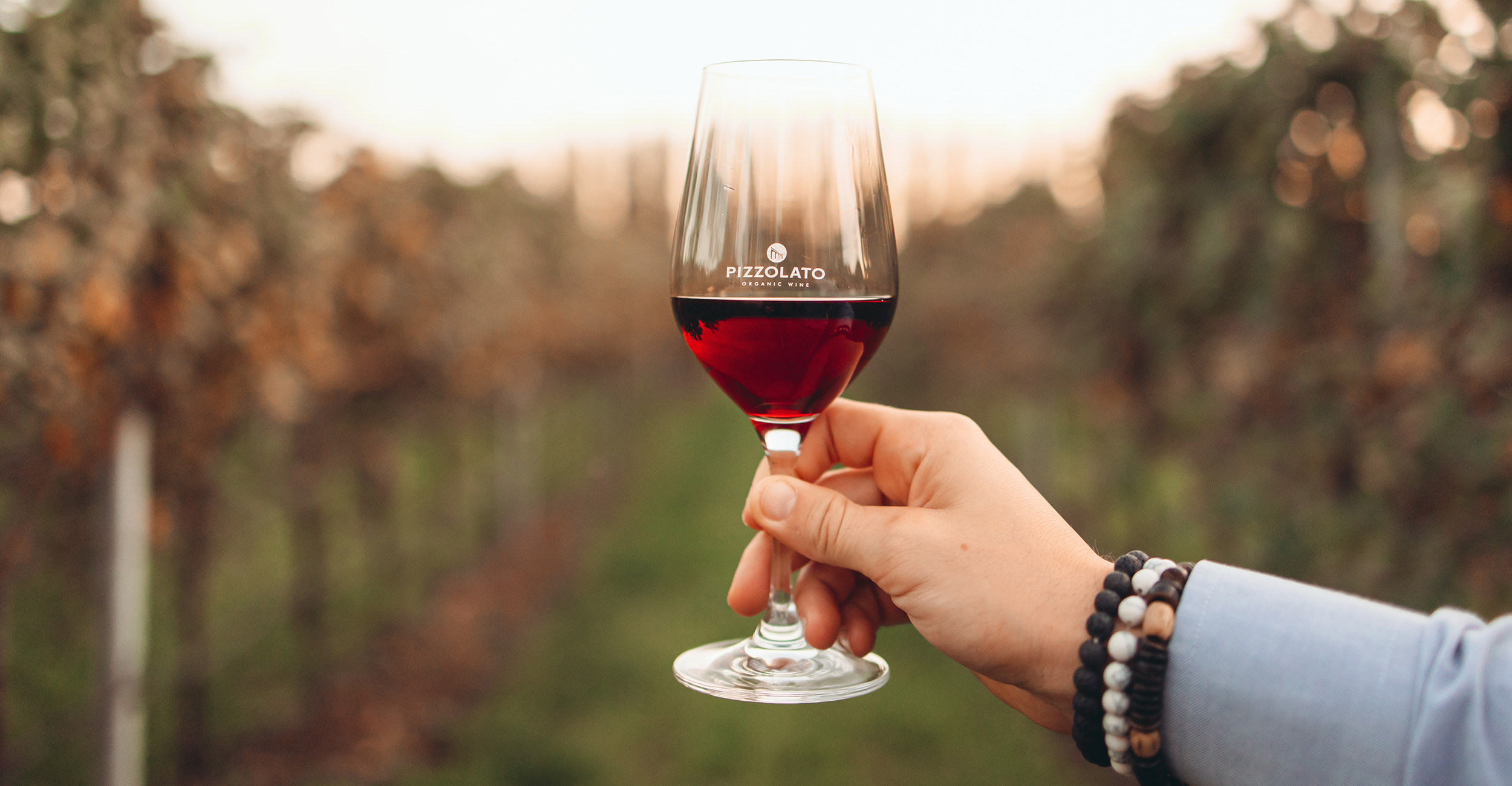 vino biologico