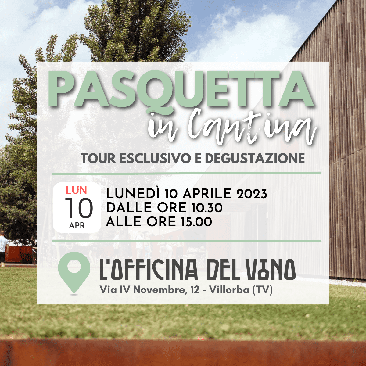 PASQUETTA IN CANTINA COPERTINA