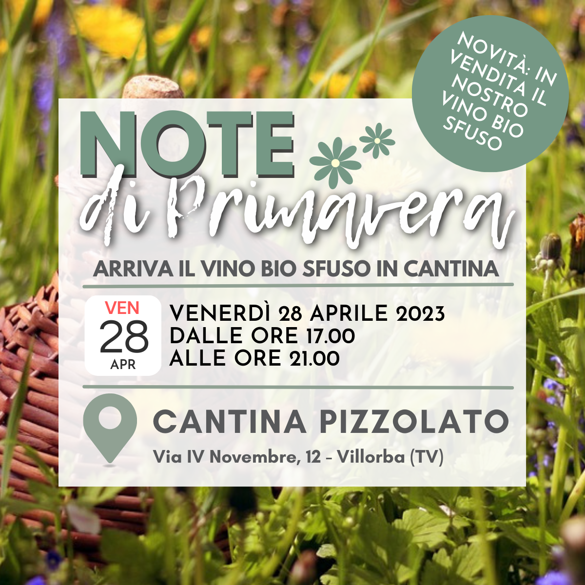 PIZZOLATO - IMG EVENTI SITO (8)