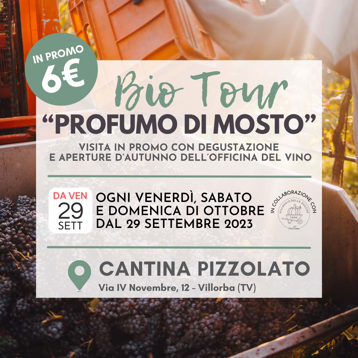PIZZOLATO - IMG EVENTI SITO  - BIO TOUR PROFUMO DI MOSTO